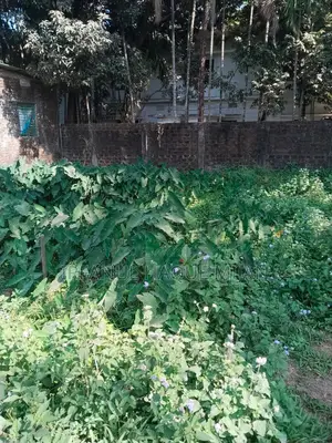 পিরোজপুর শাপলা গেইট এর বিপরীত পাশে ২.৫০ ডিসিমেল জায়গা বিক্রি করা হবে