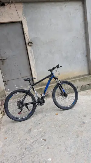 Full Body Service Done
