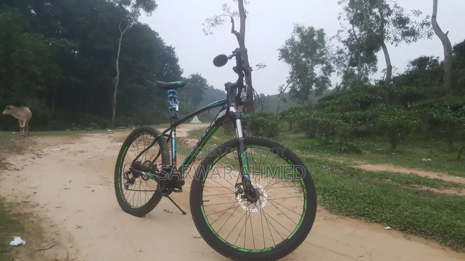 Veloce Outrage 603