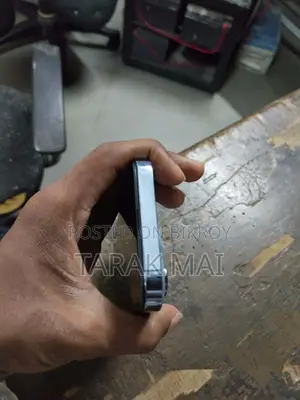 Apple iPhone 13 Pro (Used)