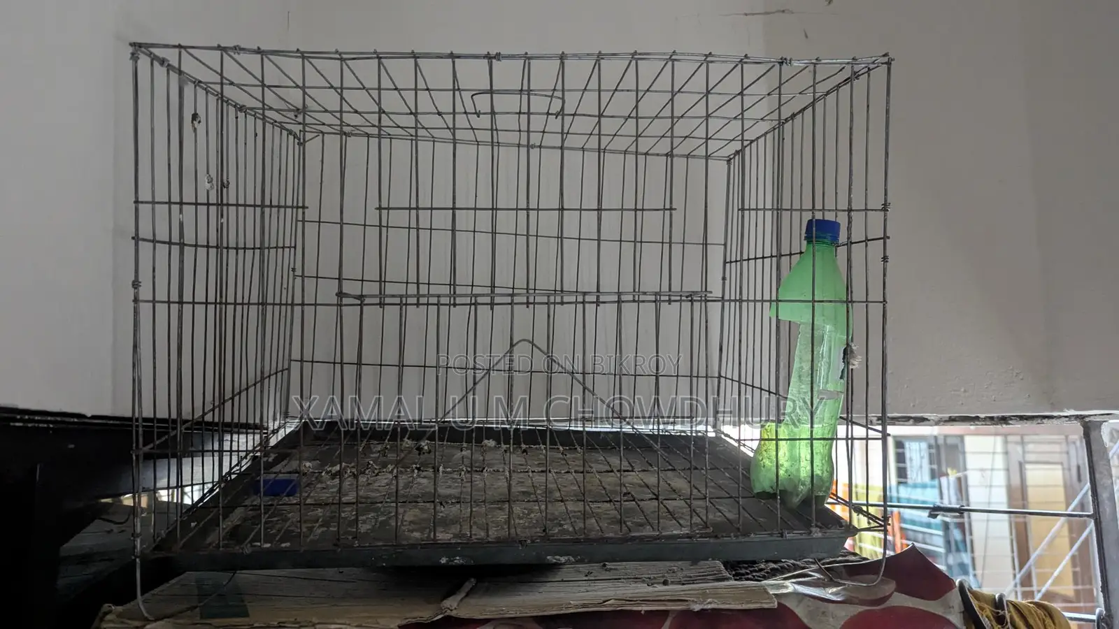 Bird Cages