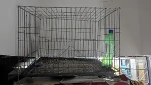 Bird Cages