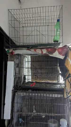 Bird Cages