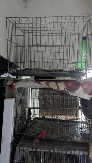 Bird Cages