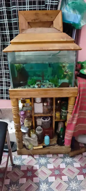 Aquarium for sale