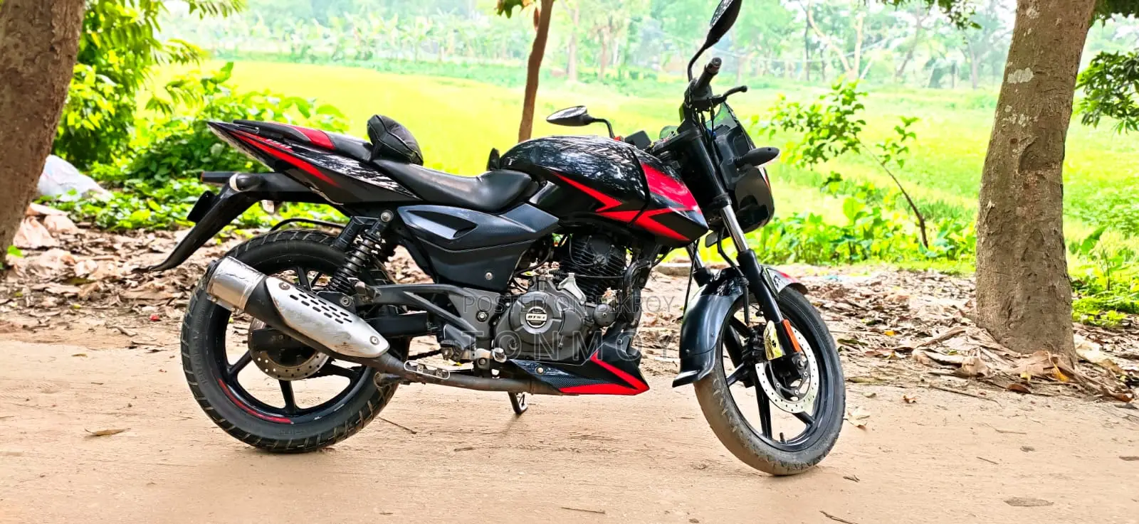Bajaj Pulsar 150 2025 Black