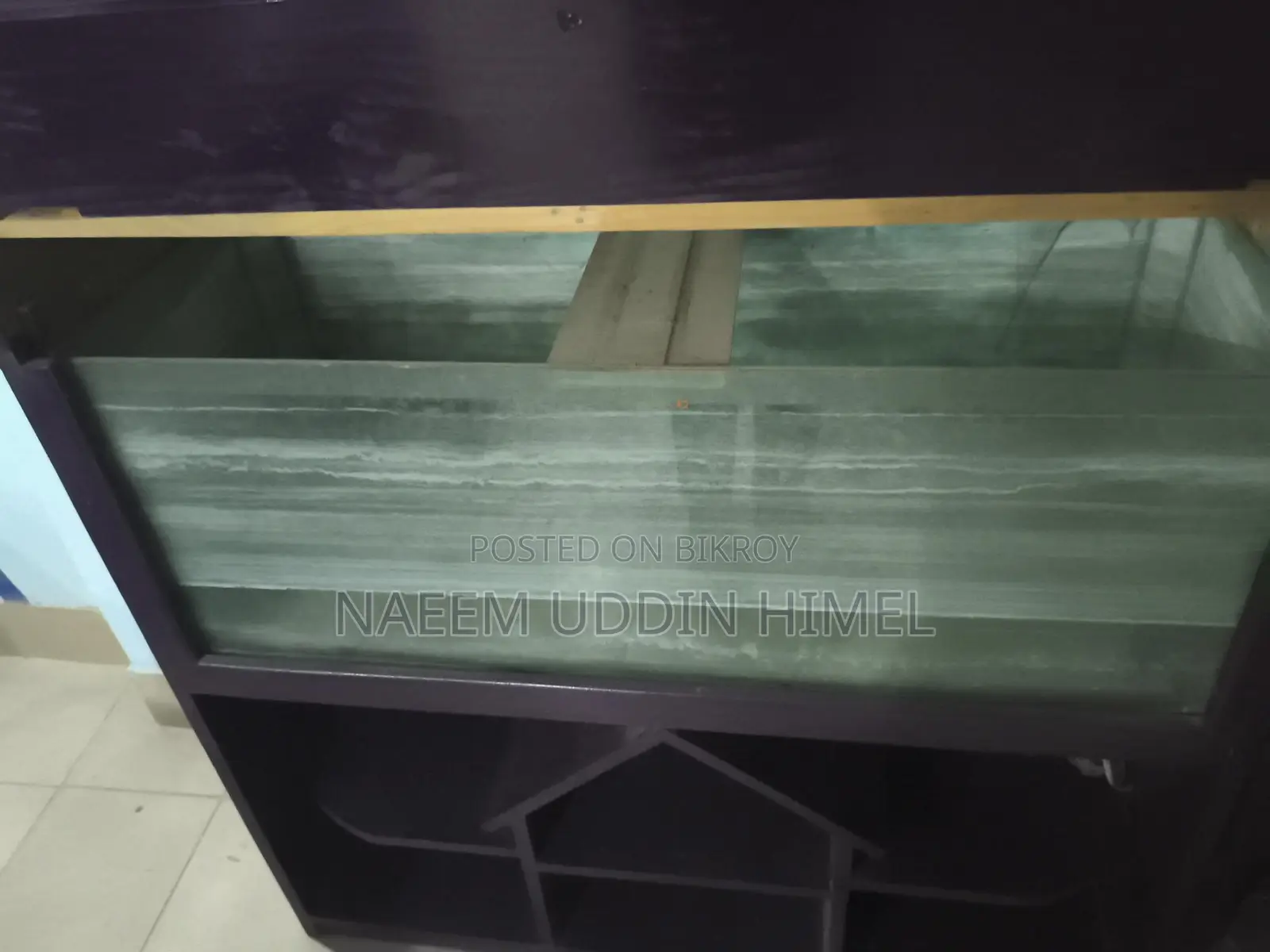 Fish Aquarium