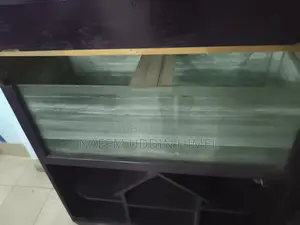 Fish Aquarium
