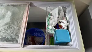 Singer Deep Freezer