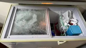 Singer Deep Freezer