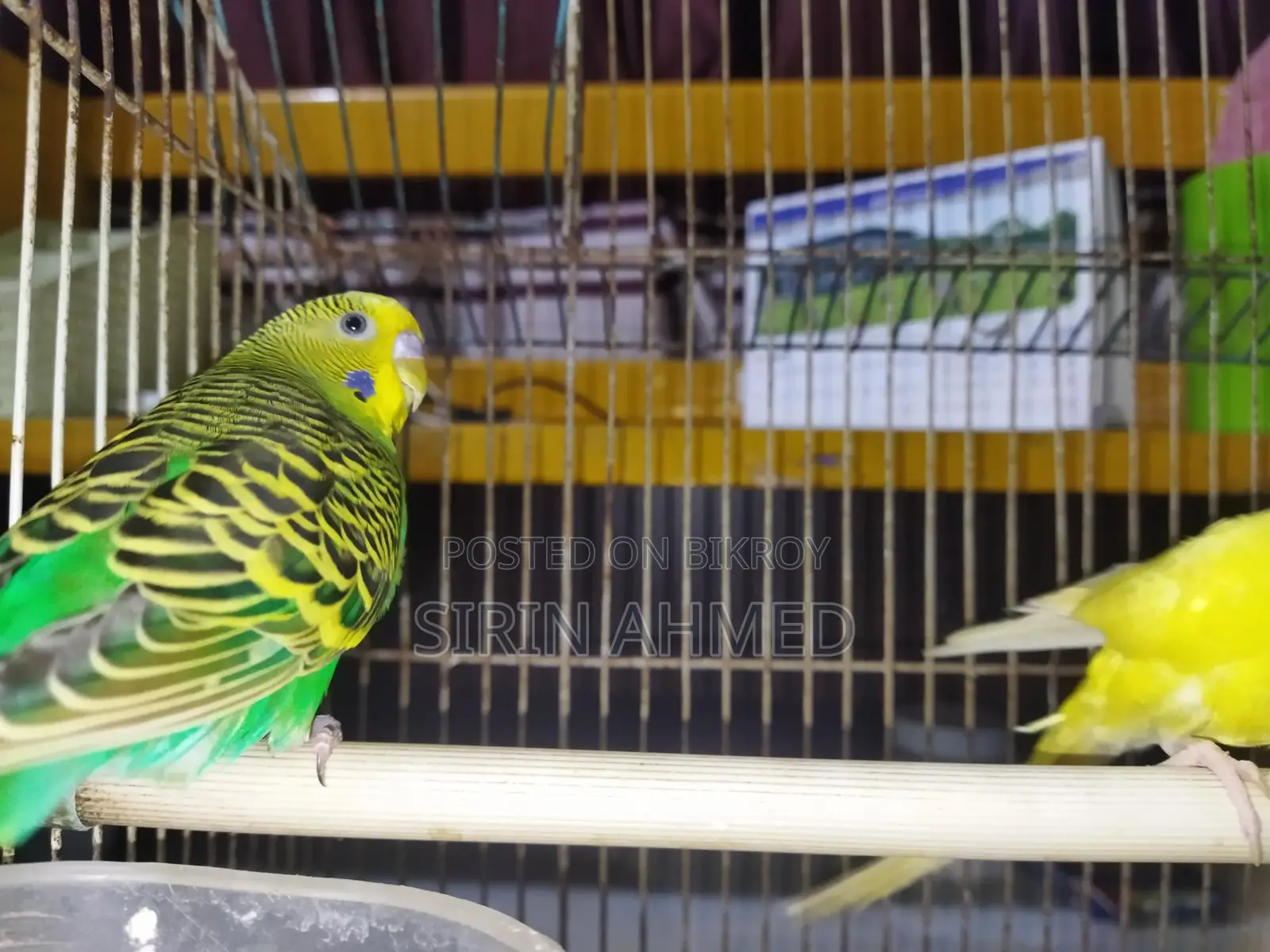 Two birds will be sold.