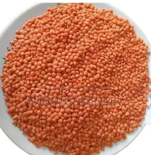 মসুর ডাল