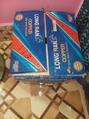 Long Ran Pure Copper CTI-2425 2000VA DSP Sine Wave 24v IPS