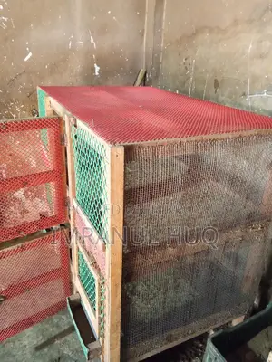একটি দুই তলা মুরগির খাঁচা