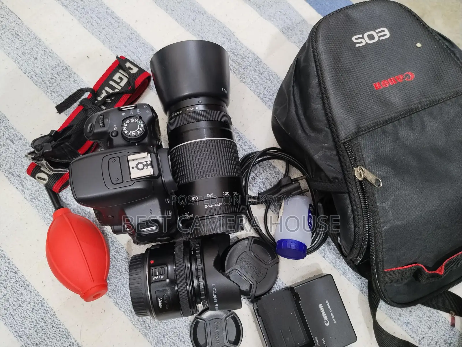 700d+50mm STM + 75-300mm zoom