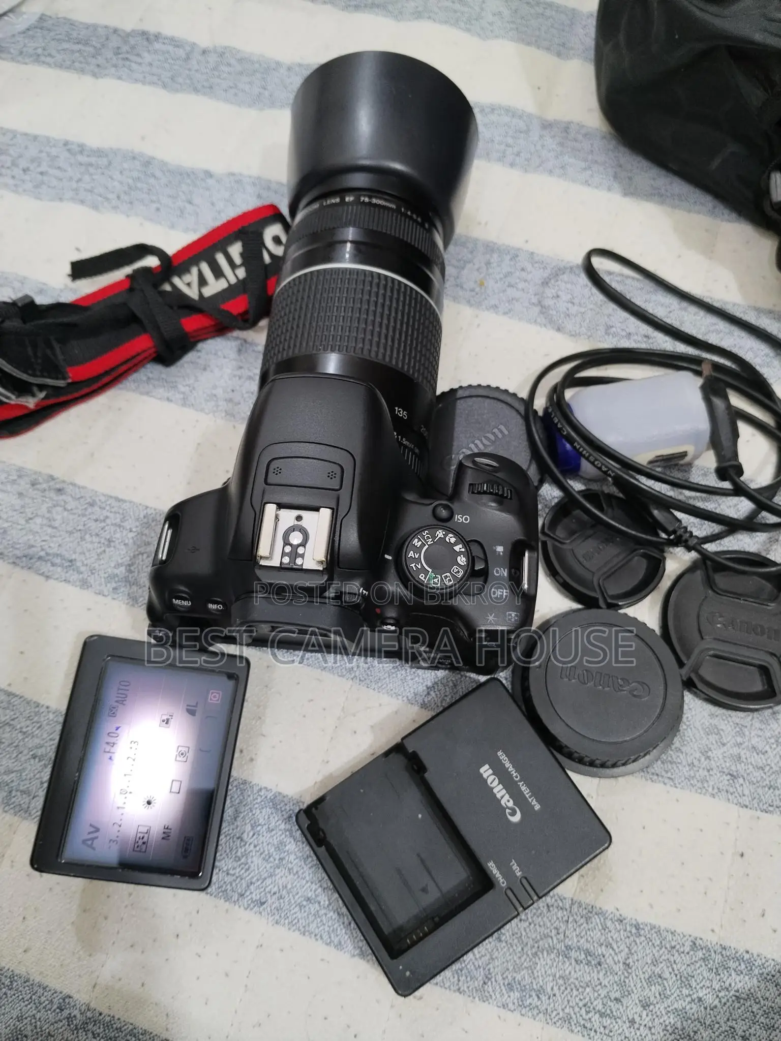 700d+50mm STM + 75-300mm zoom