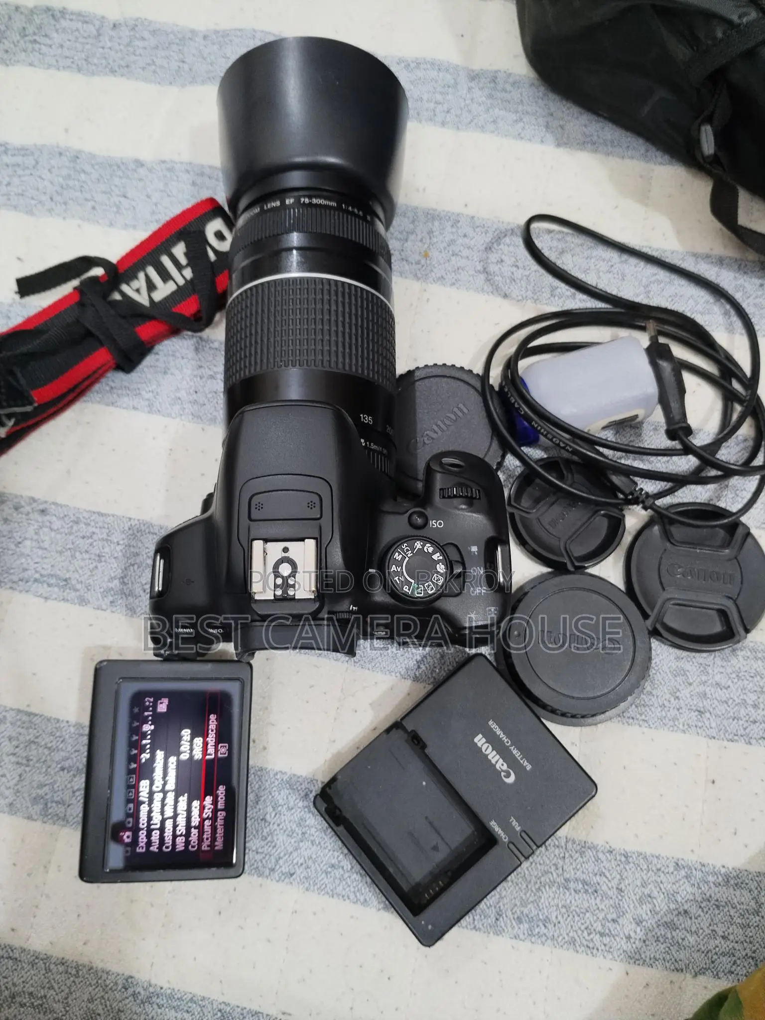 700d+50mm STM + 75-300mm zoom