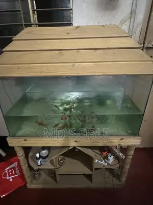 একুরিয়াম