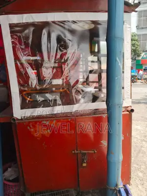 Ready Fast Food Cart for Sale | Ready Fast Food Cart
