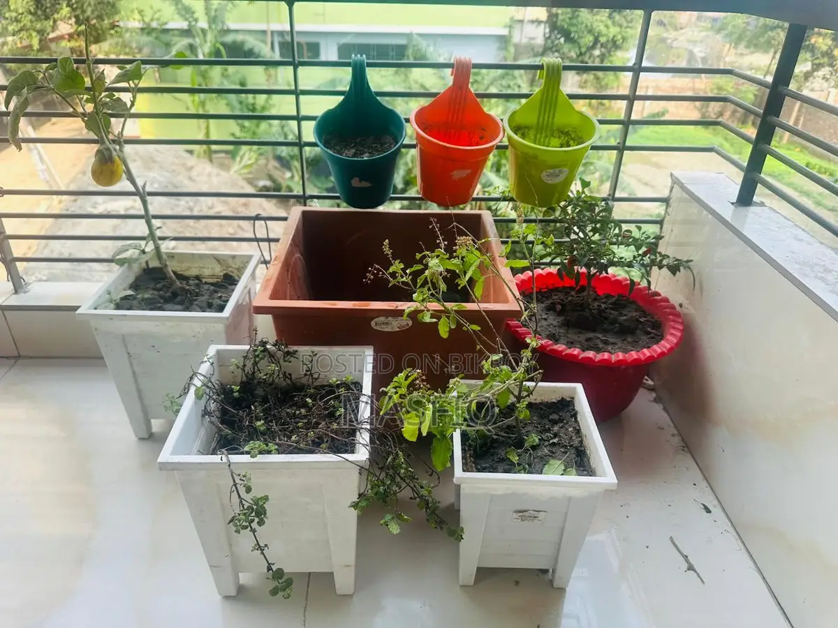 Rfl Tub টব