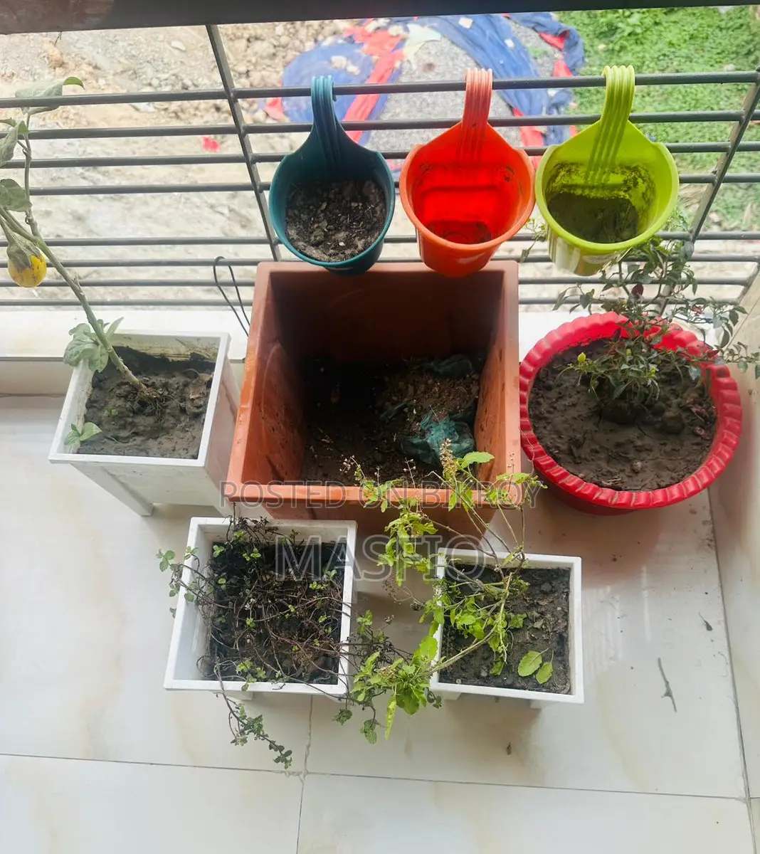 Rfl Tub টব