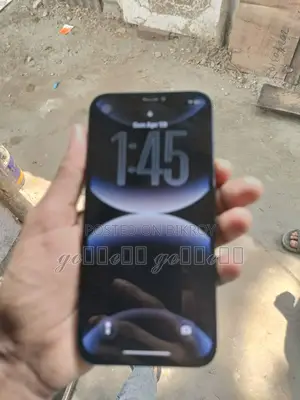 Apple iPhone 12 (Used)