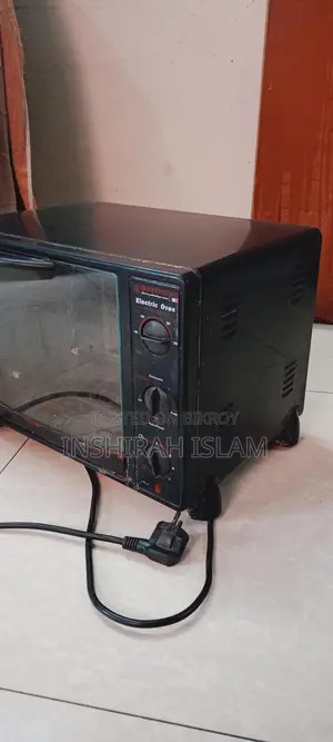 Electronic oven