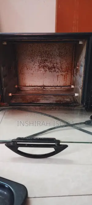 Electronic oven