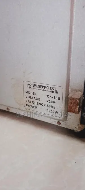 Electronic oven
