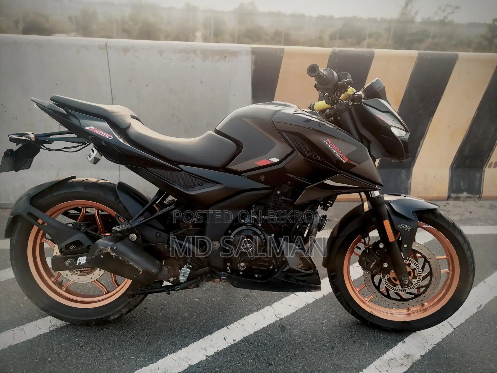 Bajaj Pulsar 250 Indian 2024