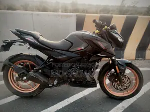Bajaj Pulsar 250 Indian 2024