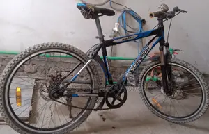 Duronto Bicycle (Non-Geared)