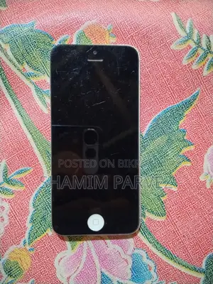 Apple iPhone 5S (Used)