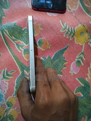 Apple iPhone 5S (Used)