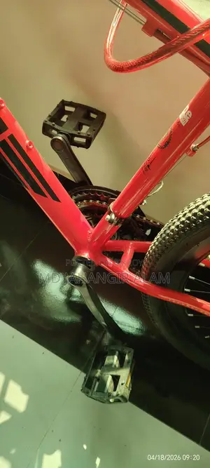 Core Nio Bicycle