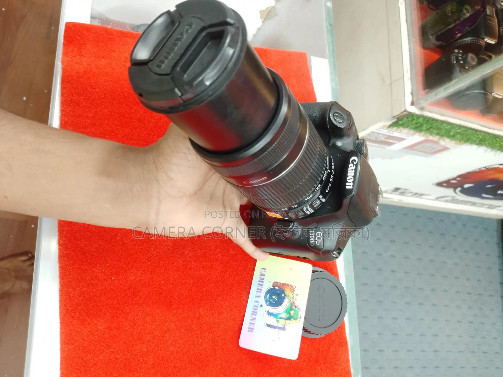 Canon 1300D & 55-250mm IS Lens