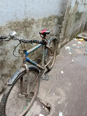 Running Bicycle
