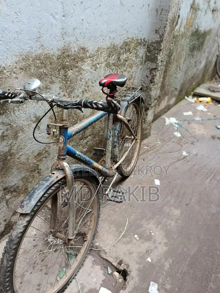 Running Bicycle