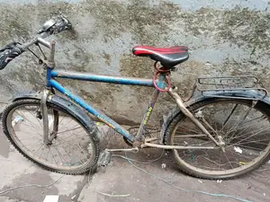 Running Bicycle