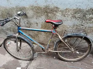 Running Bicycle