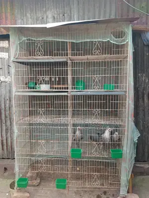 পাখির খাঁচা