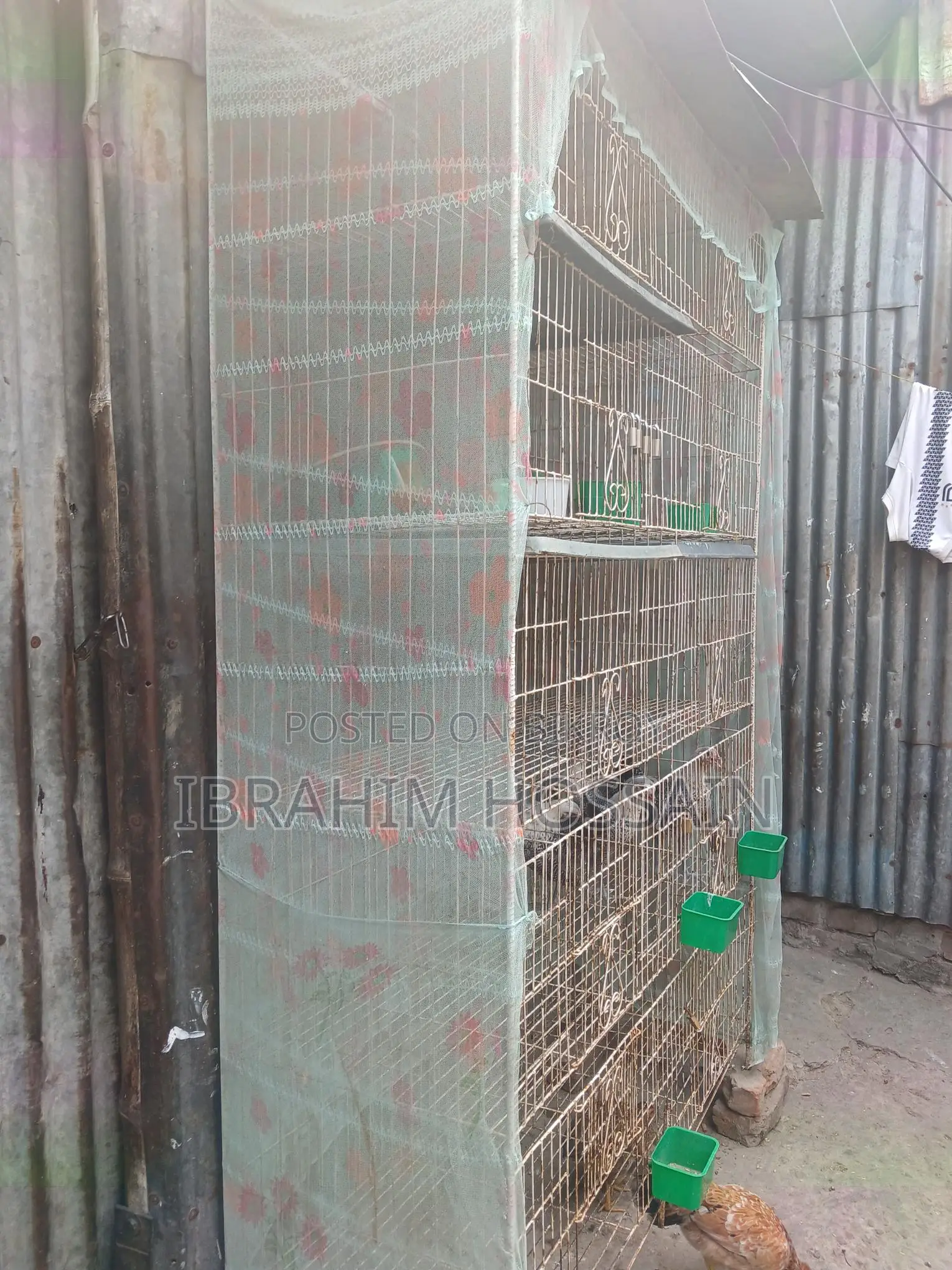 পাখির খাঁচা