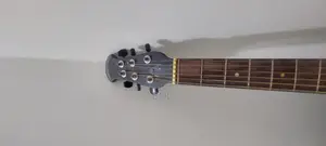 Guitar Signature Topaz 265