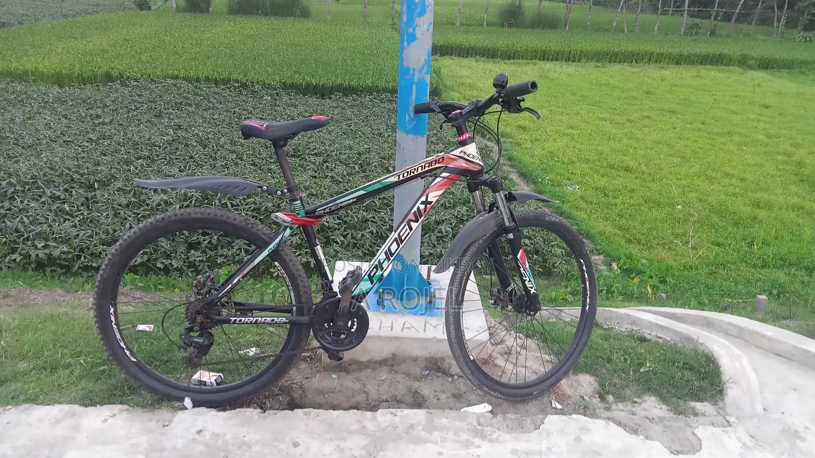 Gear Cycle for Sale