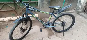 Seventy one gorila 1.0