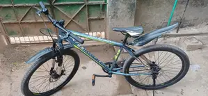 Seventy one gorila 1.0
