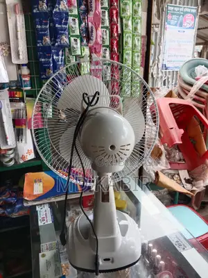 Rechargeable AC/DC Fan
