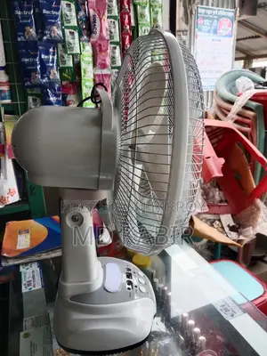 Rechargeable AC/DC Fan