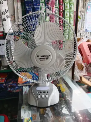 Rechargeable AC/DC Fan