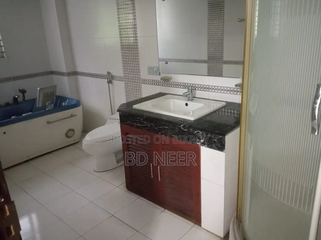 looking so nice fully furnish apt rent in Gulshan